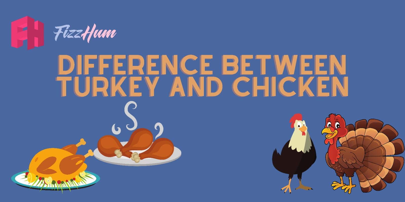 Difference Between Turkey And Chicken 